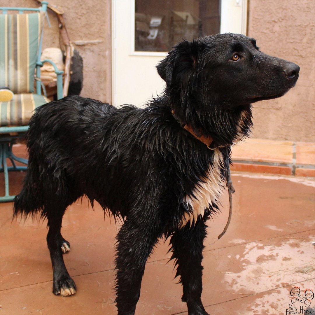 Saving Lives tweet media