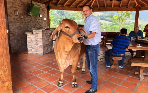 CarlArthurKing's tweet photo. El "patriota" Ñeñe Hernandez, quien financió el 80% de la campaña de Iván Duque con su "emprendimiento", era socio de José Felix Lafaurie de FEDEGAN y adivinen a qué se dedicaba...sí, a exportar ese ganado que produce Leche en Polvo.

@MariaFdaCabal @LafaurieCabal @MiguelPoloP https://t.co/vN00YPxCyp