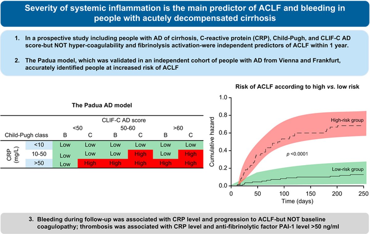 Journal of Hepatology tweet media