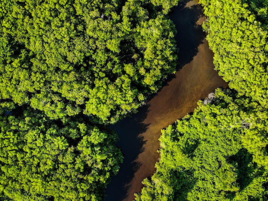 SustainableJC's tweet photo. #TreeTriviaTuesday 🌳What country is named after a tree? 
A. Brazil
B. Botswana
C. Guyana

#TreesAreKey #TreeStewardship #TreesMakeMeHappy #TreeLovers #GreenYourFeed #TreesForTheFuture #UrbanForestry #GreenJC #PlantAHappyTree #JerseyCity #NewJersey https://t.co/nuITlpNgEI