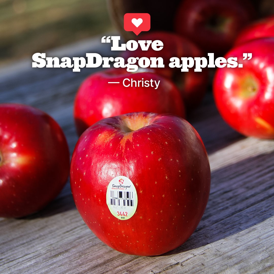 SnapDragon Apples (SnapDragonApple) / Twitter