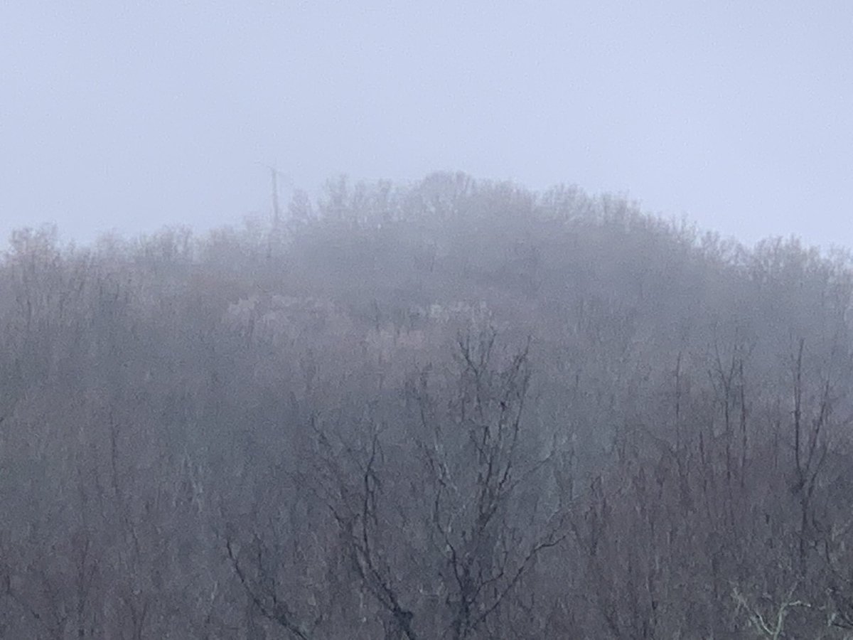 Andrew Leeper (@andrewleeper) on Twitter photo Light coating of ice on trees and signs along the higher elevations of Burke Hollow Road in Williamson County. <a href="/NWSNashville/">NWS Nashville</a> #tSpotter Light coating of ice on trees and signs along the higher elevations of Burke Hollow Road in Williamson County. <a href="/NWSNashville/">NWS Nashville</a> #tSpotter