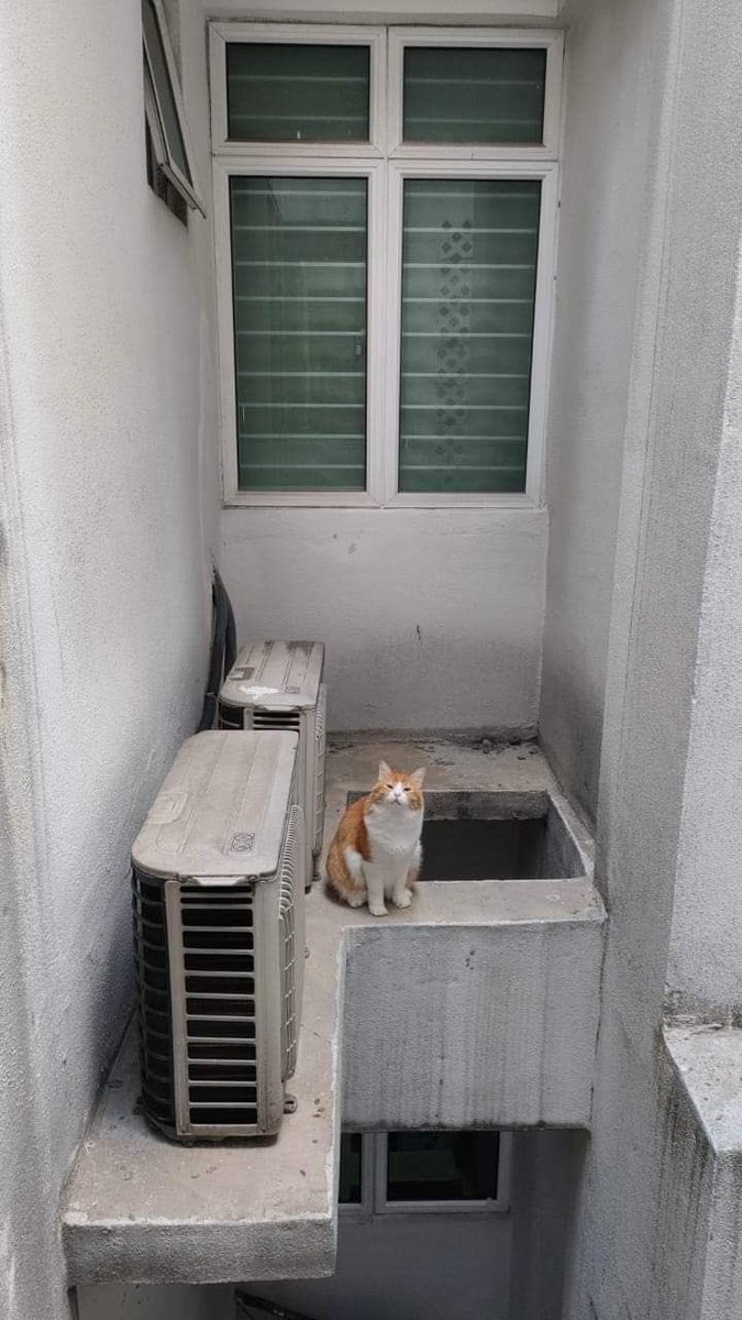 Matarael's tweet photo. A suspenseful drama. Based on a true story.

Once upon a time there’s an idiot. The idiot decided to go to a place no ordinary man or woman can reach easily. https://t.co/cgU3Wq3So9