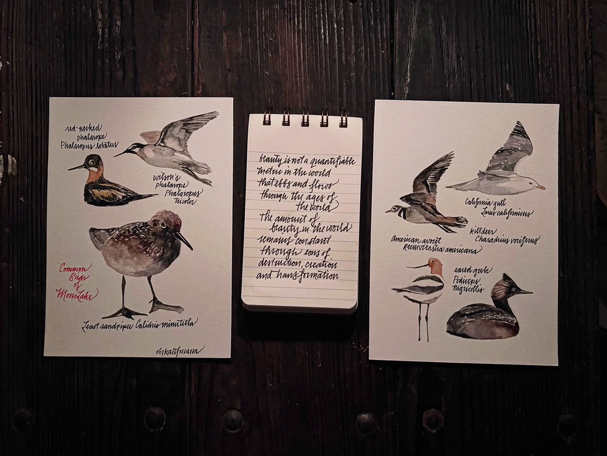 Beauty is not a quantifiable metric in the world that ebbs and flows through the ages of the world. The amount of beauty in the world remains constant through eons of destruction, creation and transformation.