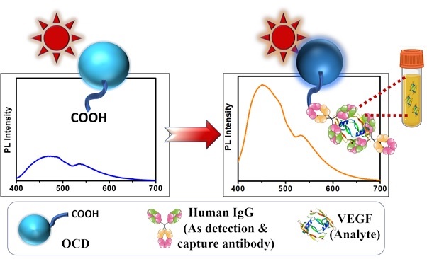 IndiaDST's tweet image. Fluorescent carbon #nanomaterial-based #immunosensor from natural sources can help early #detection of #Cancer .

@DrJitendraSingh @srivaric @dir_iasst @ashistezu 
🔗dst.gov.in/fluorescent-ca…