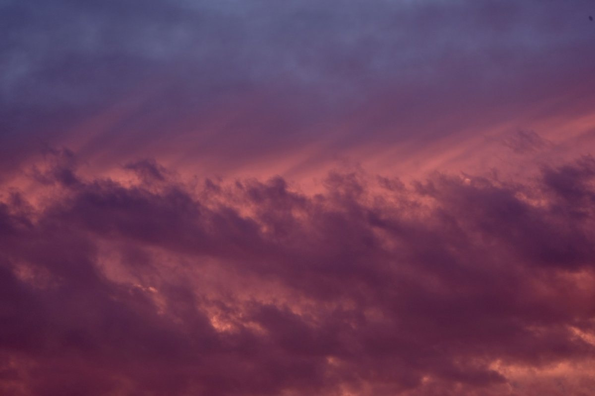 Ryan Romeike tweet media