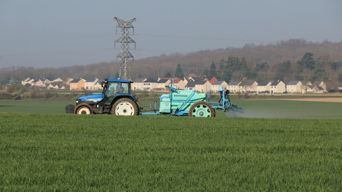 Pesticides : le S-métolachlore, très utilisé par les céréaliers, banni pour préserver les nappes phréatiques
➡️ l.leparisien.fr/zwzh