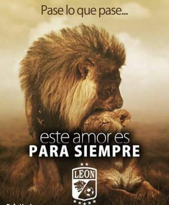 Club León on Twitter: 