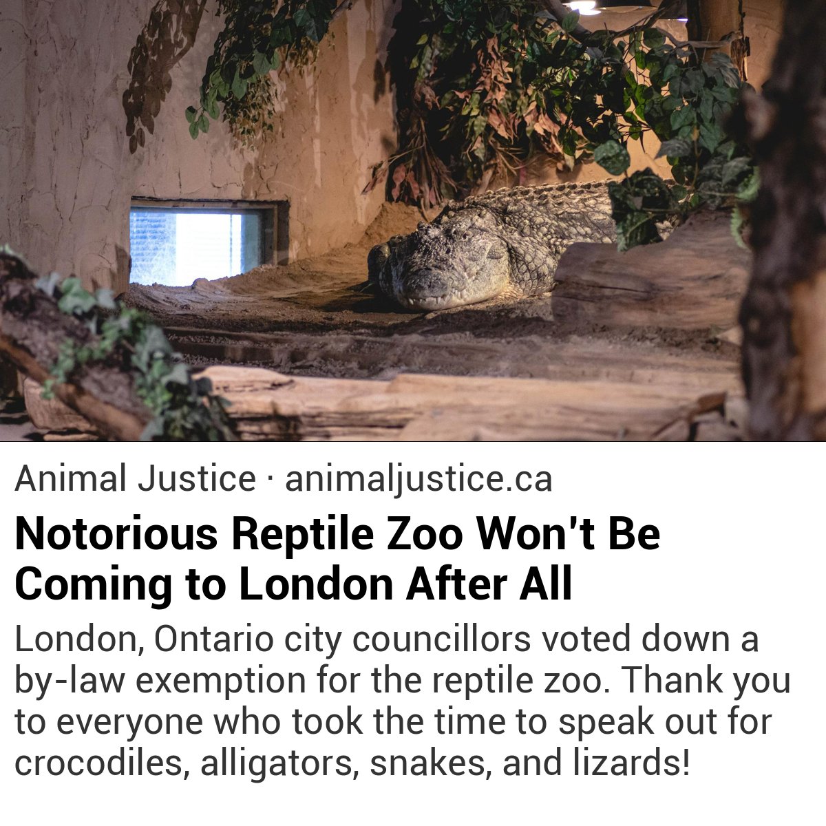Beugel on Twitter "RT rVeganLobby "London, Ontario city
