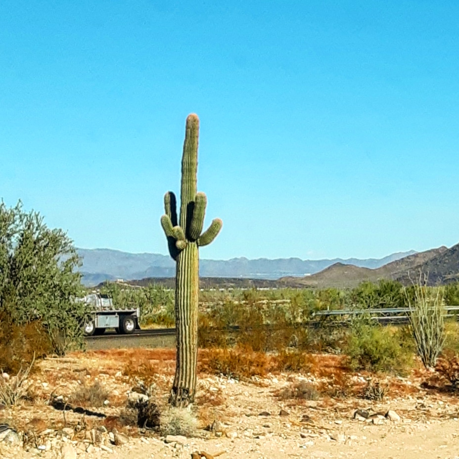 New town every hour on Twitter "Salome, Arizona Population 1,215