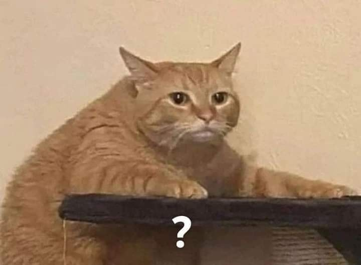 El profe: ¿Dudas?

Yo sin saber qué carrera estoy estudiando: