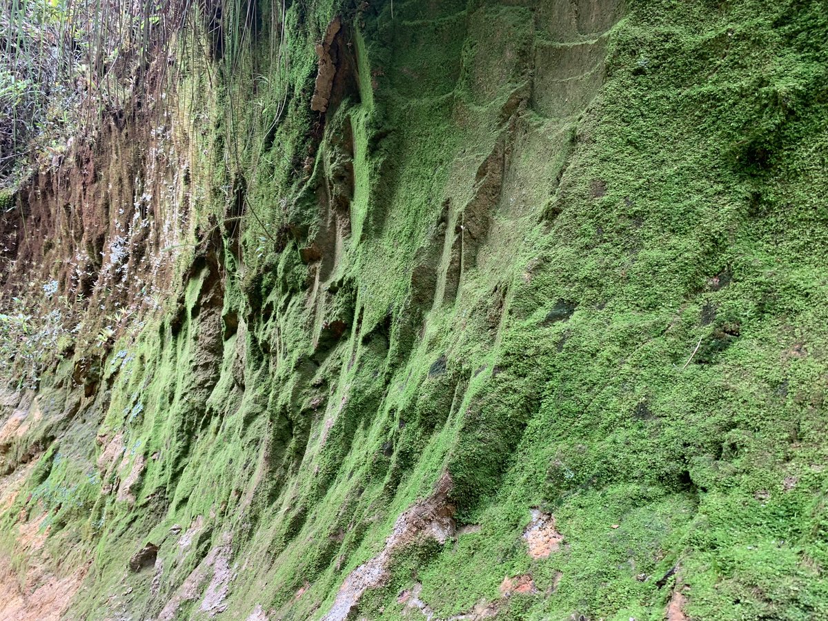 Majestuoso cada rincón del Páramo de Belmira