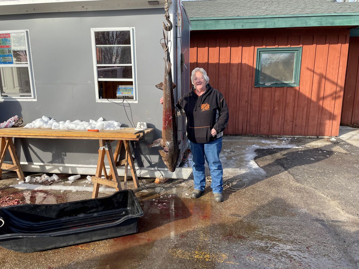 WLUKTV FOX 11 on Twitter "The Pipe Sturgeon Registration Station is leading the pack with the