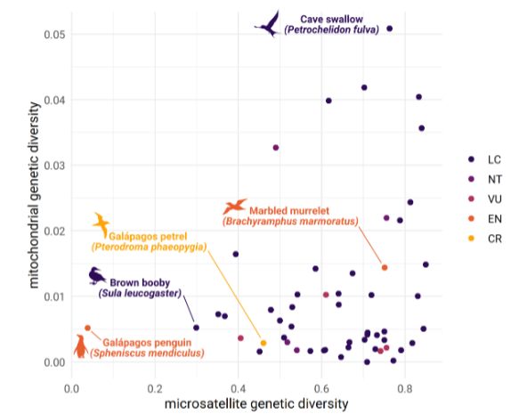 ConBiology's tweet photo. Schmidt et al share that #geneticdiversity does not predict species @IUCNRedList status; thus, improved metrics are needed for accurate conservation of genetic diversity.❤️🧬 Read the #heart of their research at https://t.co/gIwo53qg4n

#conservation #science #Valentinesday https://t.co/4pNyjQQm6B