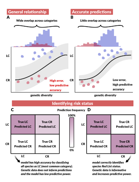 ConBiology's tweet photo. Schmidt et al share that #geneticdiversity does not predict species @IUCNRedList status; thus, improved metrics are needed for accurate conservation of genetic diversity.❤️🧬 Read the #heart of their research at https://t.co/gIwo53qg4n

#conservation #science #Valentinesday https://t.co/4pNyjQQm6B
