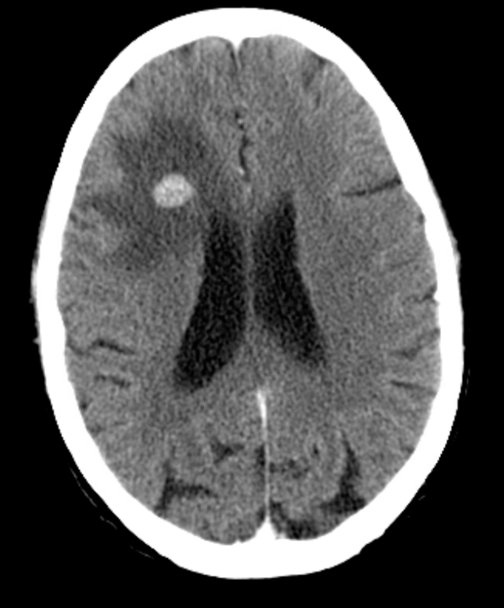 Alireza Mansouri tweet media