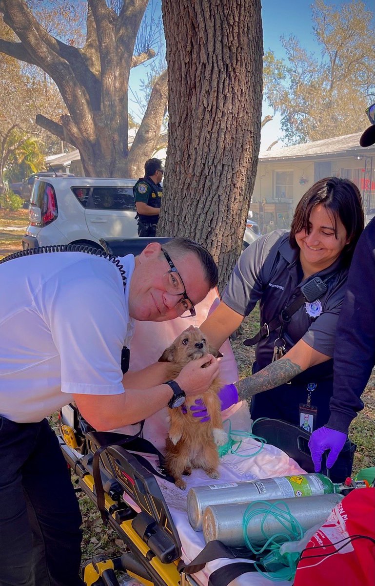 ❤️LOVE HAS NO BOUNDARIES: It was a busy day for Manatee County EMS!  Crews from Alpha 11 &amp; 13 along District Chief Evans went to a fire to assist <a href="/SMFR911/">Southern Manatee FD</a> They provided rehab to furry friends &amp; after tender loving care, were returned to their owner. That’s a doggone good day!🐶❤️