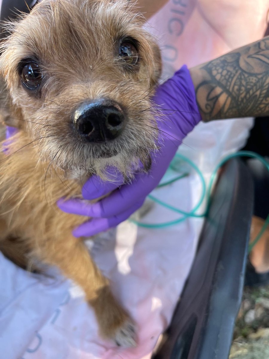 Manatee County Government Public Safety Department tweet media