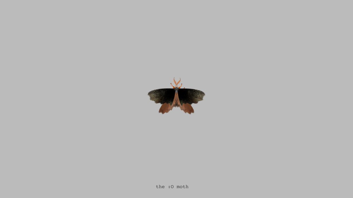 moth generator tweet media
