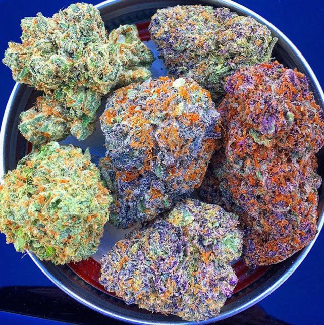 _StonersRUs_'s tweet photo. Choices 🤩🔥🍃 https://t.co/JqOYhYjeVR