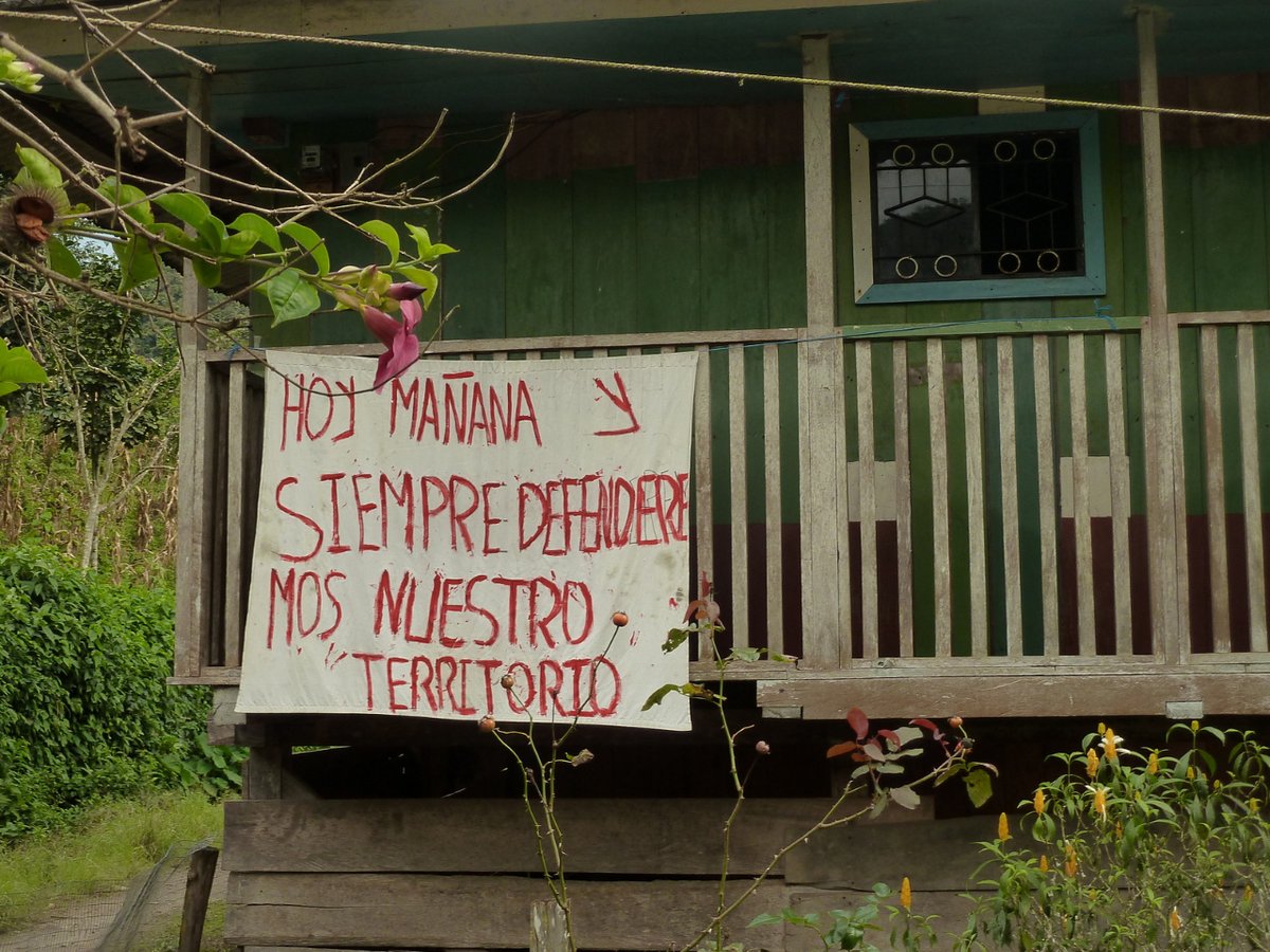 IntagVida's tweet photo. Llurimagua es más que cobre. Su bosque sostiene a la comunidad con el turismo comunitario. 
@CorteImbabura #SalvemosIntag del extractivismo minero. 🍃🐸🐻💦
NO a la minería en Llurimagua. https://t.co/0N9z5X6oXc