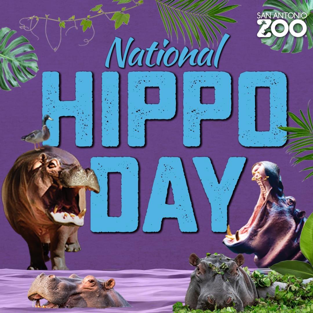 jeffgspurskens5-on-twitter-rt-sanantoniozoo-join-us-wednesday