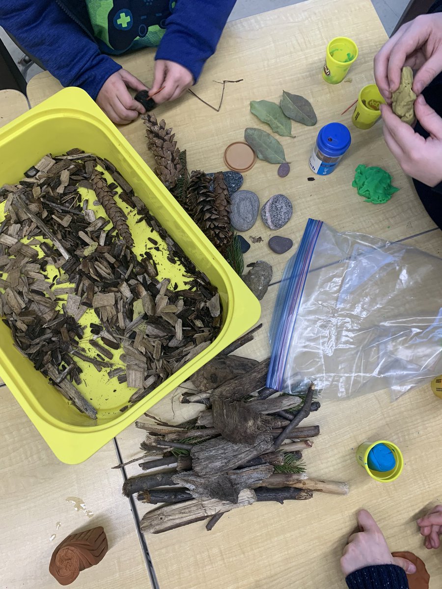 mslachance1's tweet photo. Gr. 3 students have been learning about structures. This week we’ve investigated natural VS human made structures. With their Gr. 4 team leads, students have begun creating their own beaver dams using found material. Stay tuned for test day! @DunwichDuttonPS https://t.co/HZpawWWruu