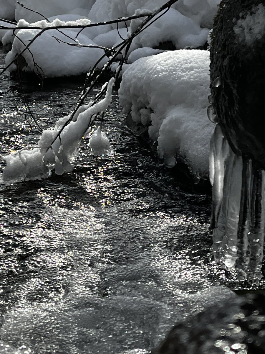 realizerhigh's tweet photo. ちょいと用事があって、キャンプ場まで。
オーナー雪かき中だったけど、手を止め相手してくれた。

やっぱり冬の景色はたまらない。
#backyardcamp
#オーナーせっせと雪かき
#さぁ外へ飛び出そう https://t.co/8tHyUnnOft