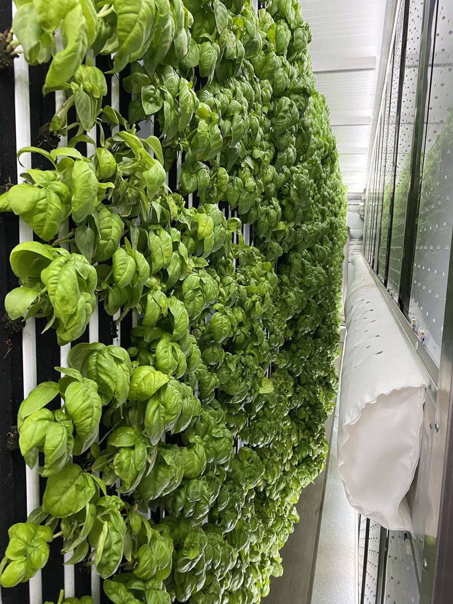 Franklin’s Charging tweet media