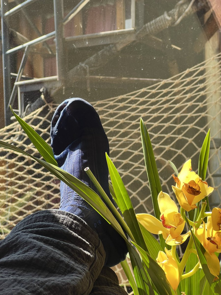 扶摇上青云 (@fw4h7a930311) on Twitter photo 