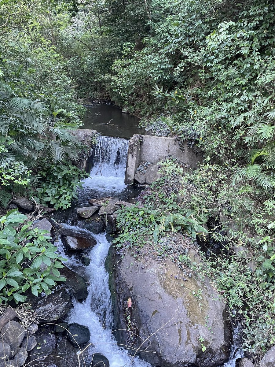 MariekePatton's tweet photo. 🇨🇷 #HotPotatoes23 in Costa Rica! Enjoying the views at Buena Vista EcoAdventure! Zipline, horseback riding &amp; Hot Springs! #BVHP https://t.co/tfIV20w3n4
