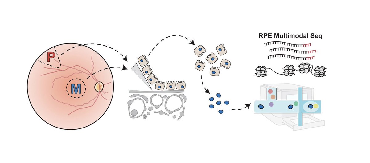Nate Mullin tweet media