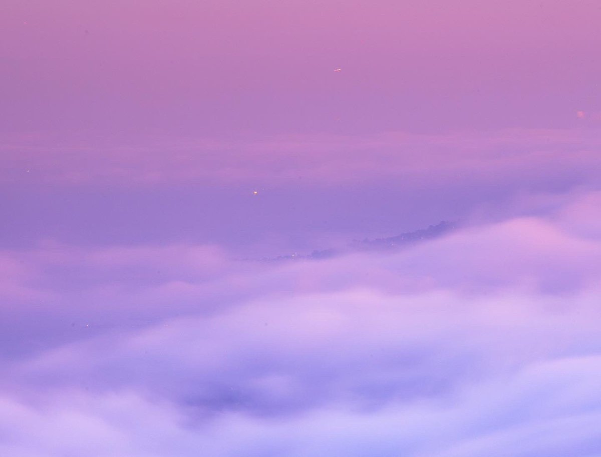 CodyMayer22's tweet image. the color pink