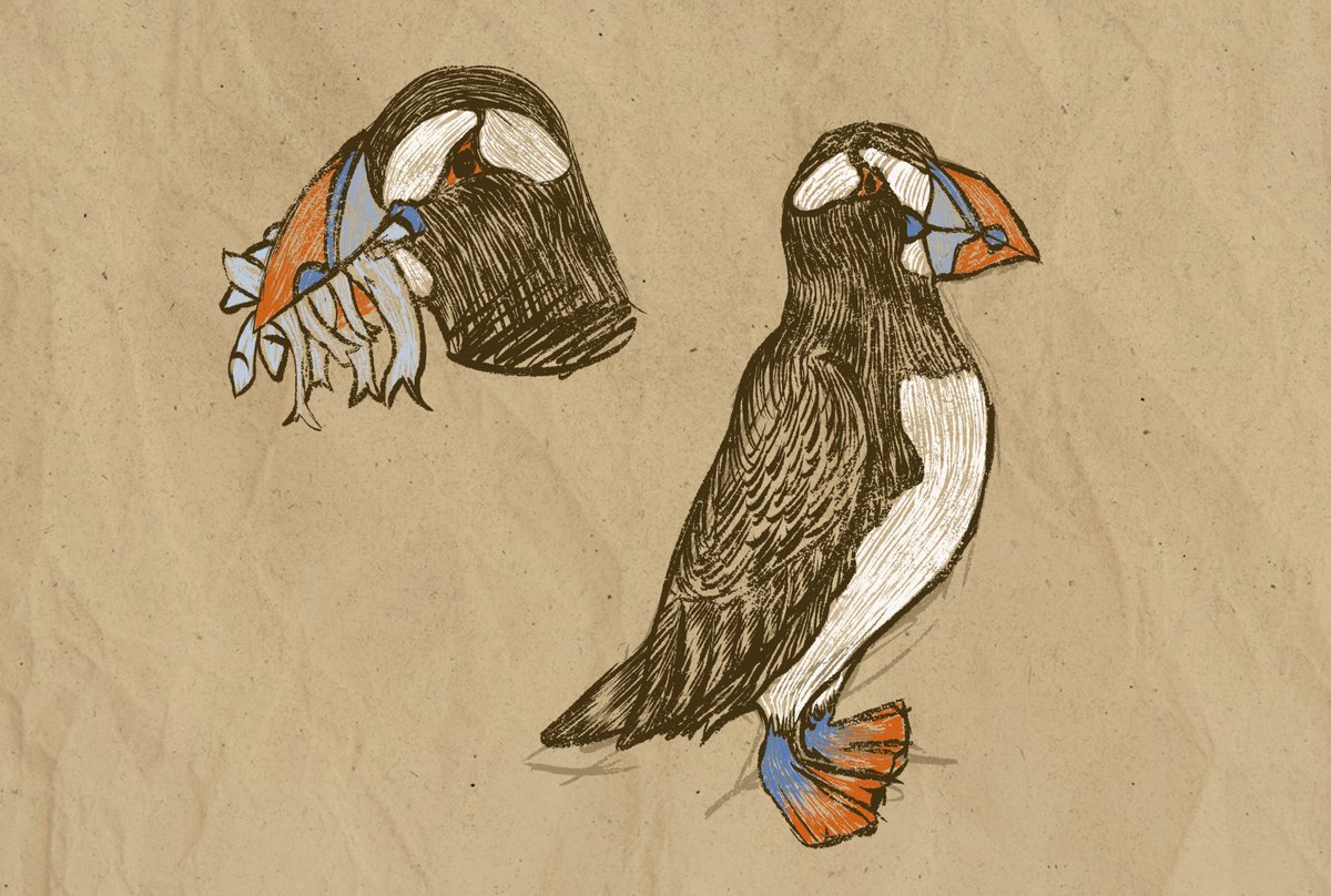 strixxline's tweet photo. More birbs! 🐦💖 Valentine's Day special on stream today, with some lovey puffins and some flirty pheasants! #WorldAnvil #BestiaryFebruary #Worldbuilding https://t.co/t94BYQTmRz