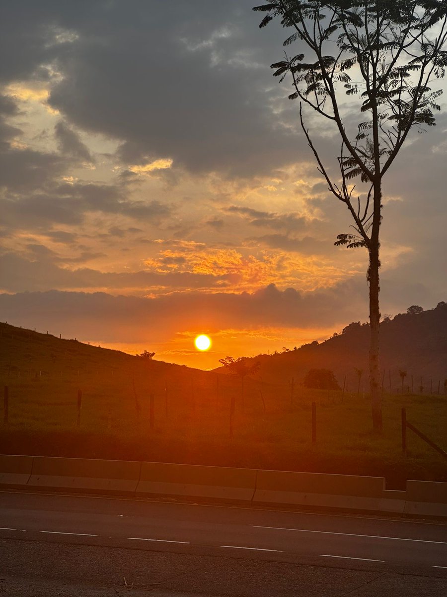 Lo más hermoso 💚🌞