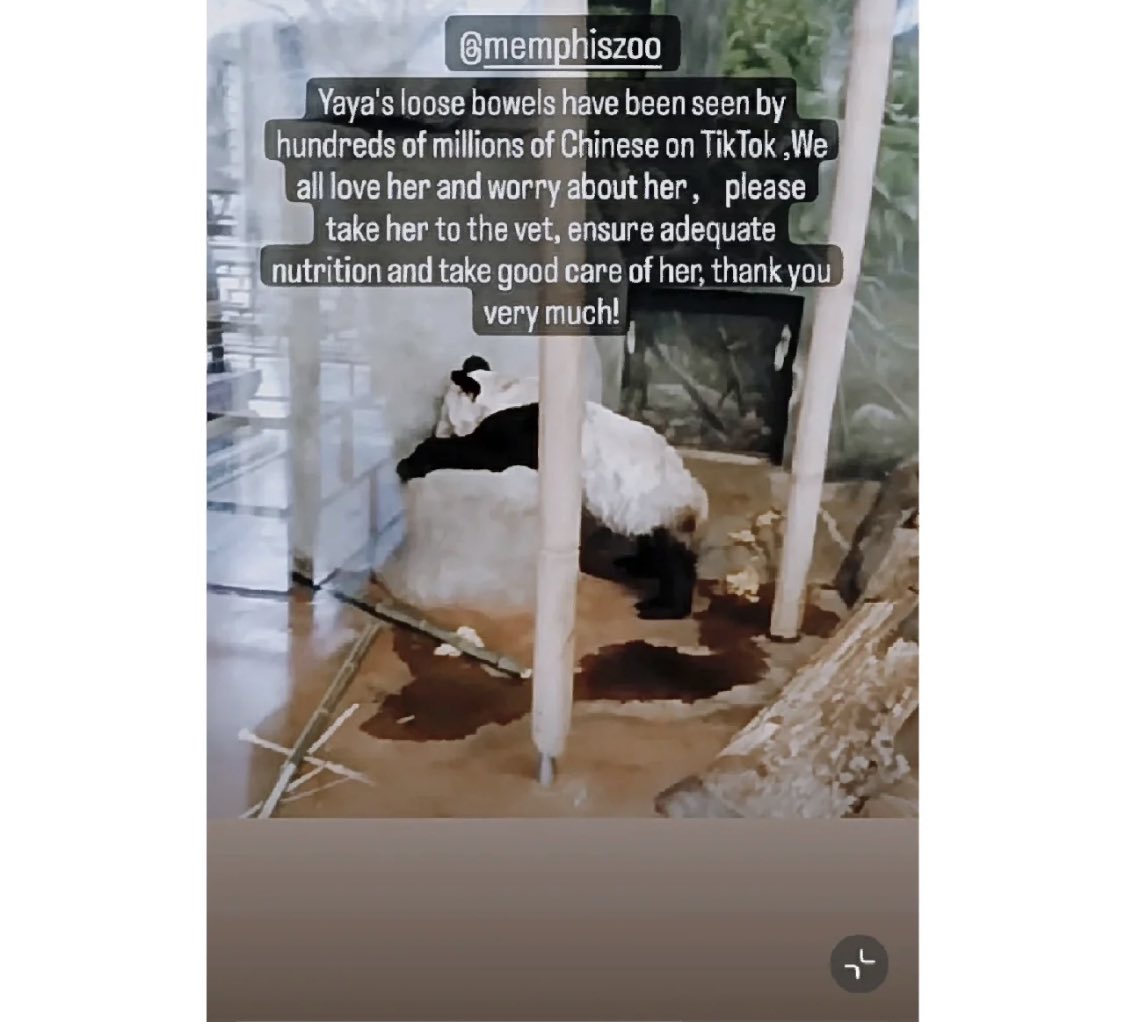 Probuyer007's tweet photo. @MemphisZoo hey, take care of your animal. https://t.co/4NpbfPsyqz
