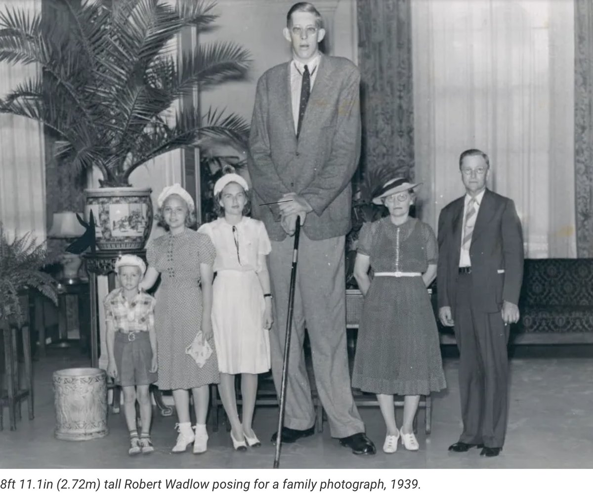 Art Alexander tweet media