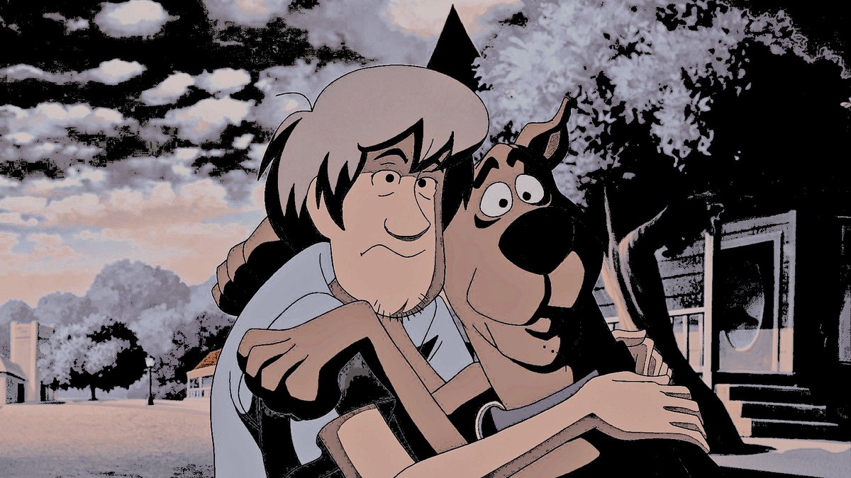 𝙎𝙝𝙖𝙜𝙜𝙮 𝙍𝙤𝙜𝙚𝙧𝙨 tweet media