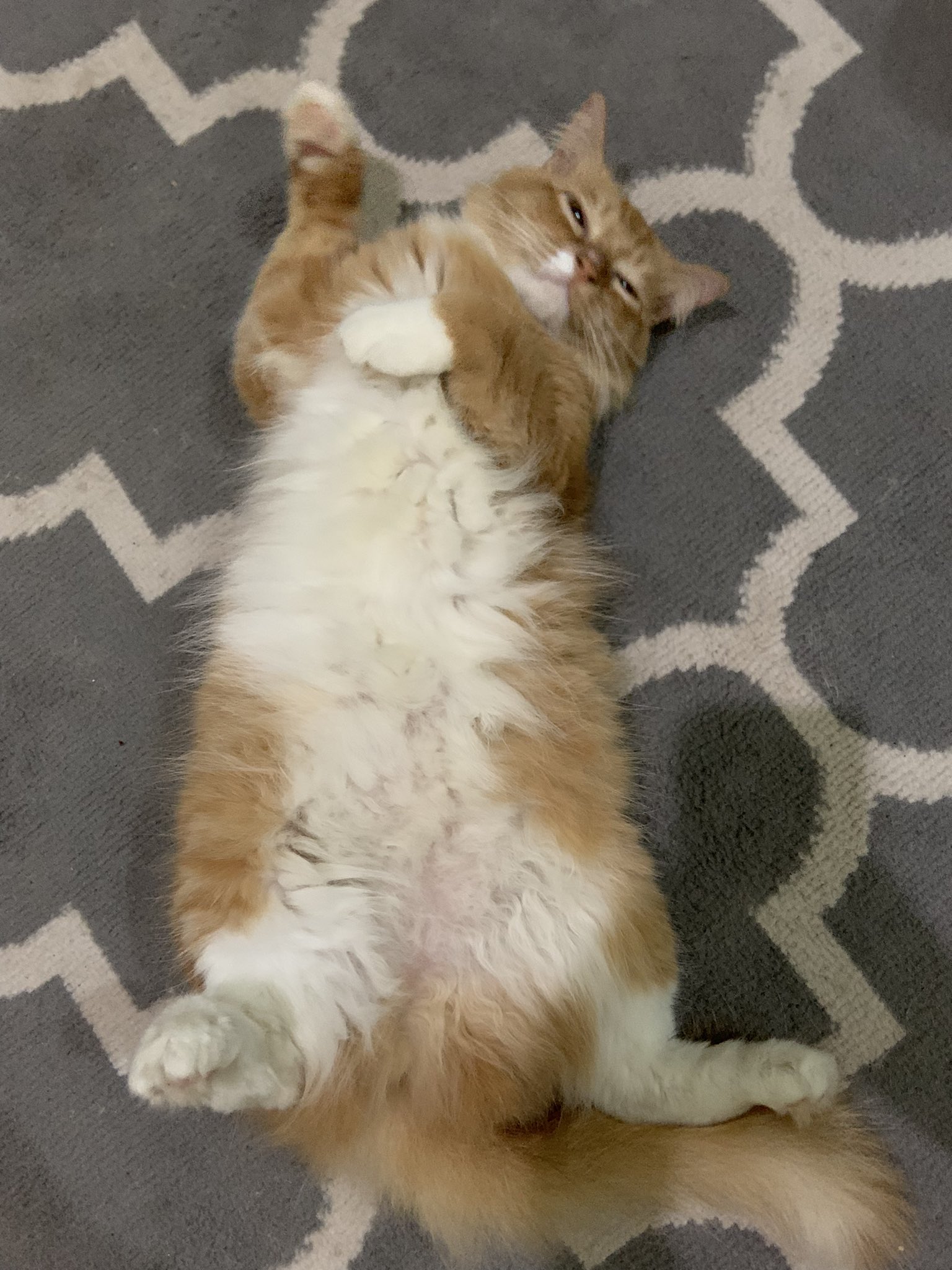 Anya dan Calla on Twitter: "@yuno_yejun Calla juga kemarin abis gangnam