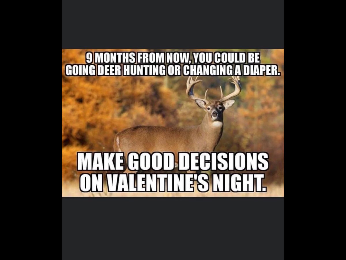 Clayton Ellis (@claytonbellis) on Twitter photo 