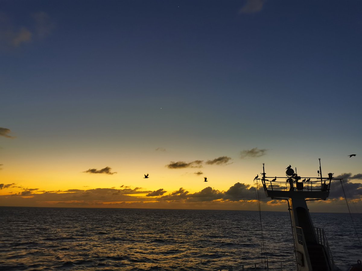 LupitaBribiesc1's tweet photo. 10 sunsets later, covering more than 4,000 km, we finally arrived to our first site in the #ClarionClippertonZone!
#SMARTEXCCZ https://t.co/fwH5NazWhn