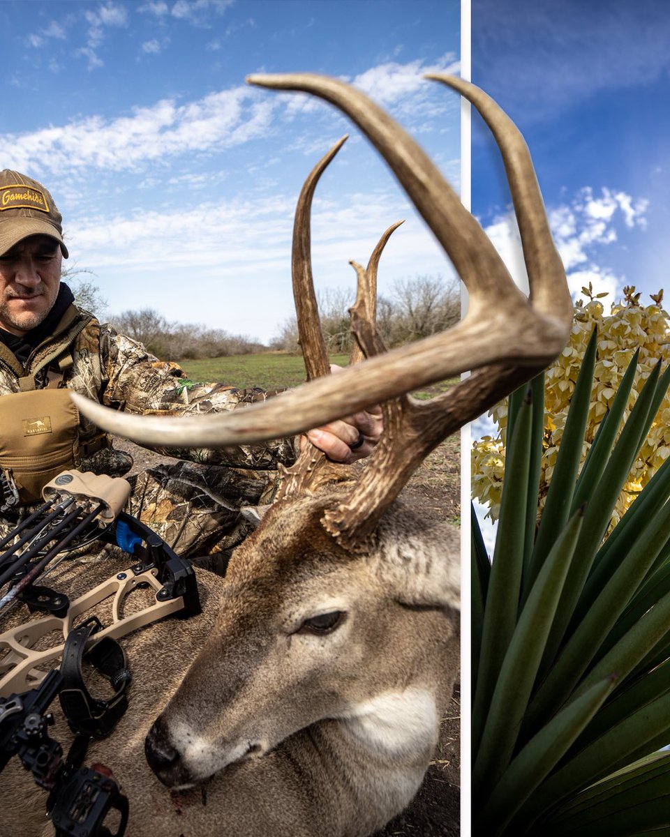 Paulhunter_rtg's tweet photo. Thank you @LegendsTV Great friends, great food an a beautiful place in Texas!! #southtexas l #dosequis l #bowhunting l #respectthegametv l #beersalt l #biggame https://t.co/6wWUFDzfVW