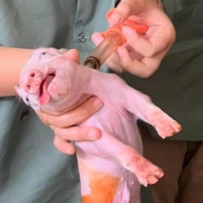 etchaling's tweet image. #NewProfilePic