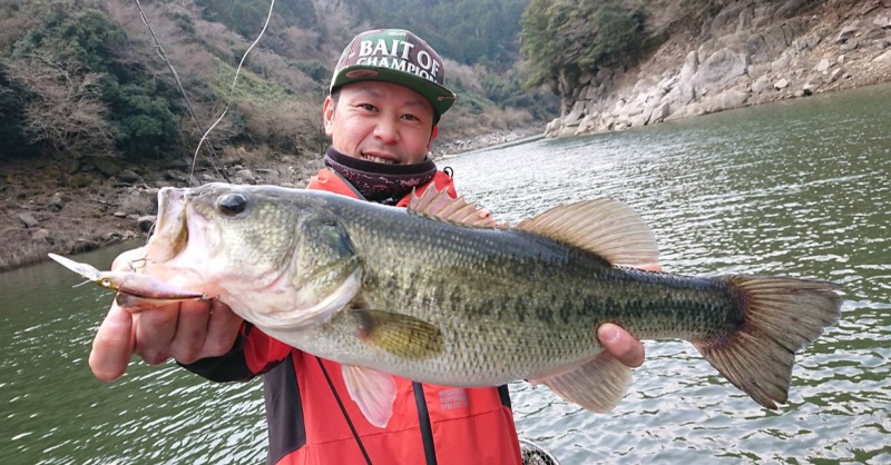 megabass_jp's tweet photo. 【Megabass Blog】春に向けて
Megabassスタッフ 山出 篤
https://t.co/aZyjrQuub7
#megabass #mymegabass #ONETEN #SHADINGX https://t.co/GGvU4vRapA