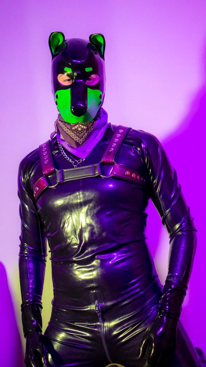 Anyone willing to give some love to this pup for Valentine’s Day? 🥺