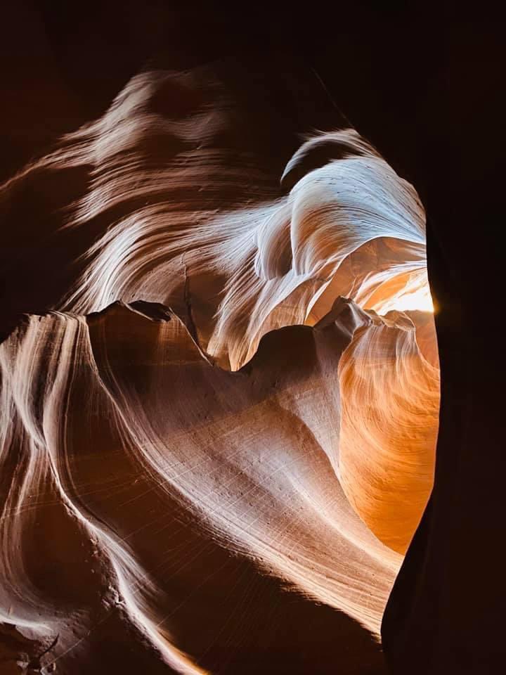 Josh Frigerio tweet media