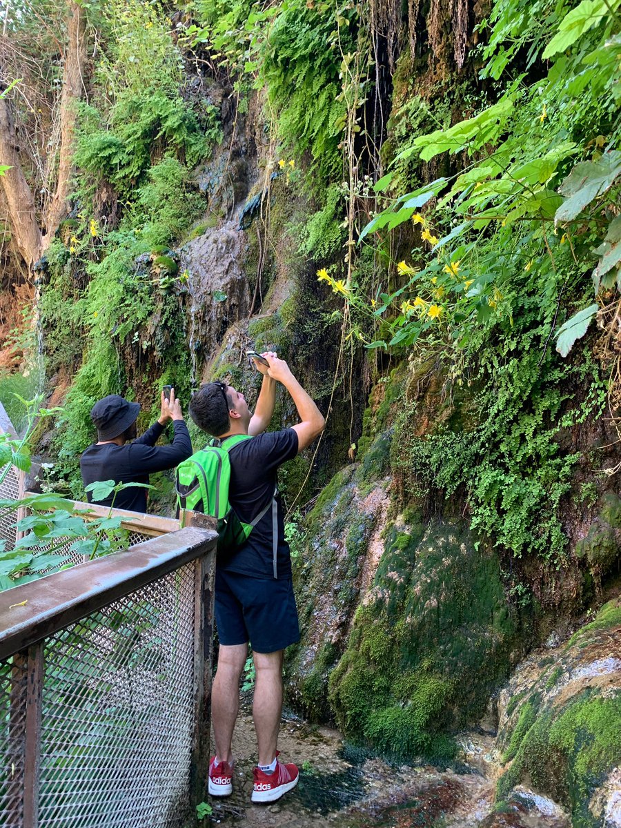 Josh Frigerio tweet media