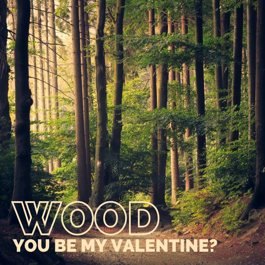 talkingforests's tweet photo. #TalkingForests https://t.co/QoA5DqzzbK