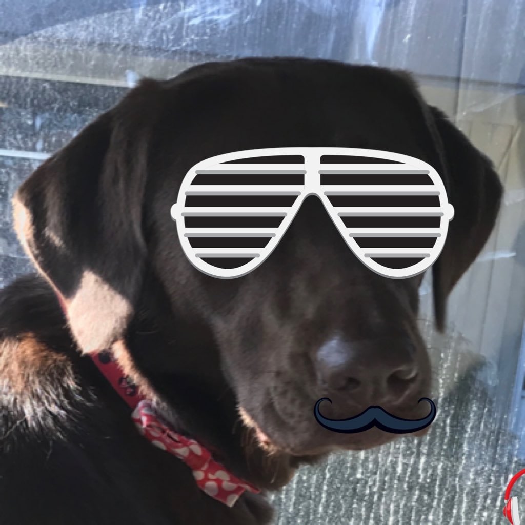 Kit_2ed's tweet image. #NewProfilePic