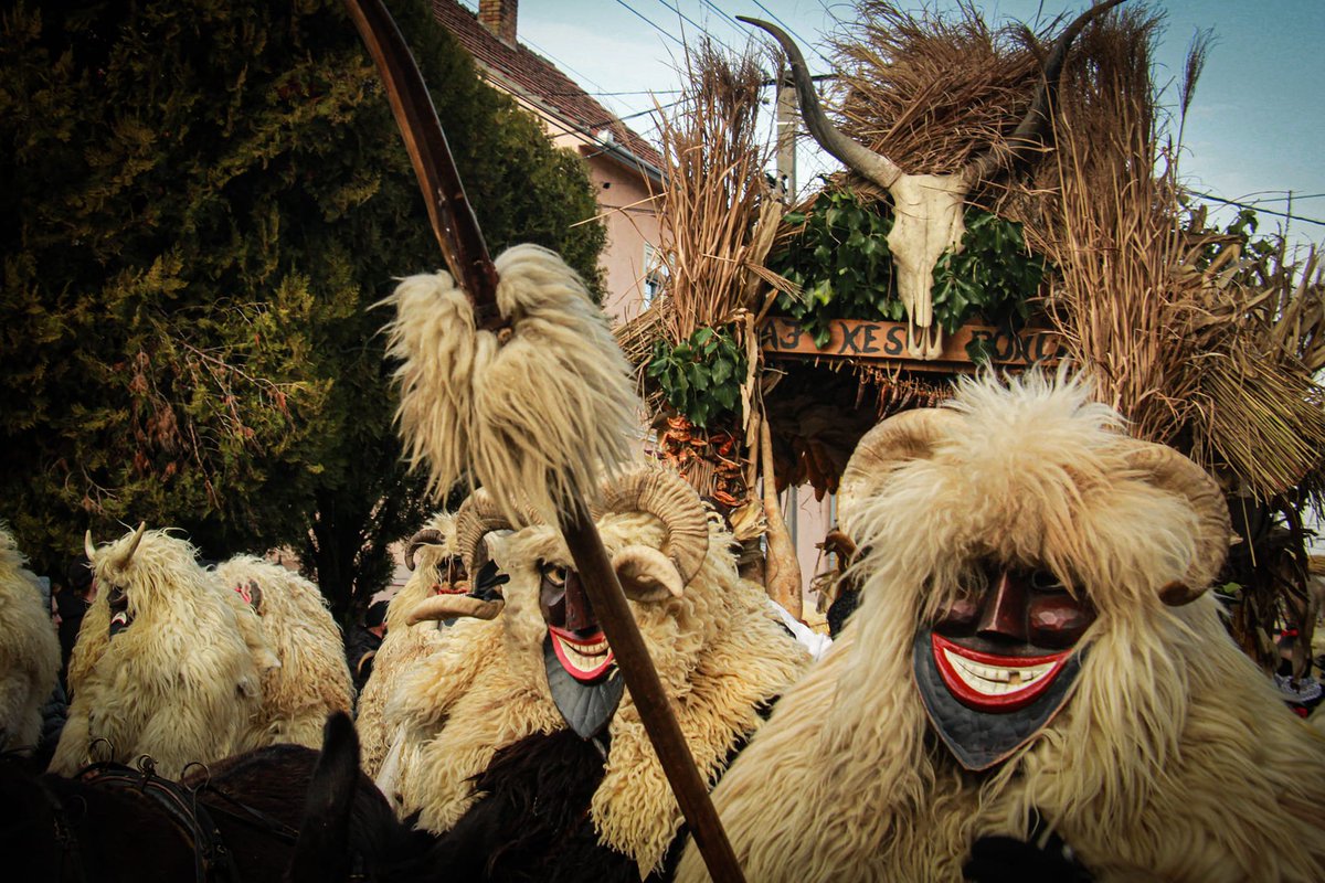 #Busójárás, a festival of masked men walking in the southern Hungary town of Mohács begins Thursday. 
gettinghungary.com/the-masked-men…   
photo by Zsolt Turi #gettinghungary <a href="/IFWTWA/">IFWTWA</a>